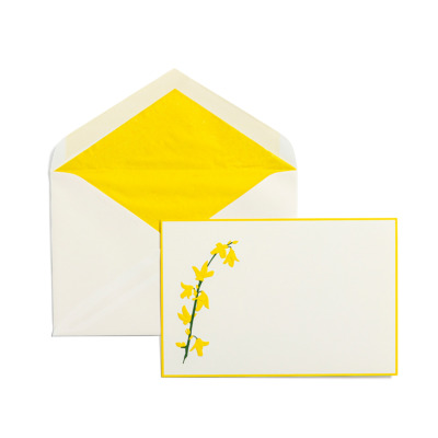 TYPE CENTER ΕΥΧΑΡΙΣΤΗΡΙΕΣ ΚΑΡΤΕΣ FORSYTHIA 10ΤΜΧ