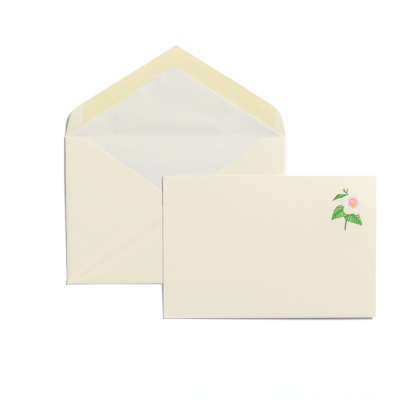 TYPE CENTER ΕΥΧΑΡΙΣΤΗΡΙΕΣ ΚΑΡΤΕΣ WHITE HIBISCUS 10ΤΜΧ