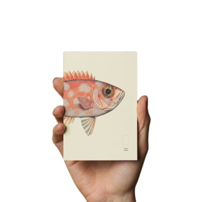 PAPER REPUBLIC POCKET ΑΝΤΑΛΛΑΚΤΙΚΟ BOOK REEF ORANGE FISH PLAIN