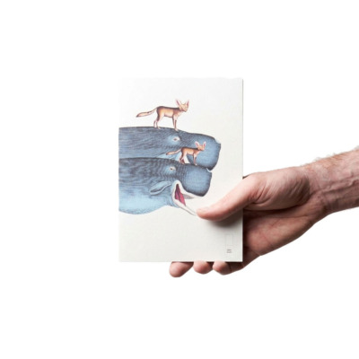 PAPER REPUBLIC XL ΑΝΤΑΛΛΑΚΤΙΚΟ BOOK ANIMAL WHALE PLAIN