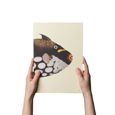 PAPER REPUBLIC Α4 ΑΝΤΑΛΛΑΚΤΙΚΟ REEF BOOK RULED